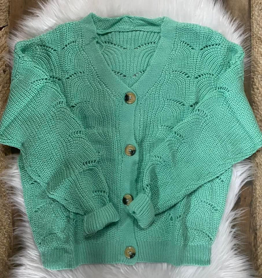 Mint Sweater Cardigan